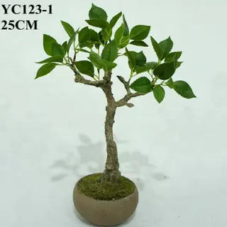 Artificial Cedrela Bonsai, 25 CM