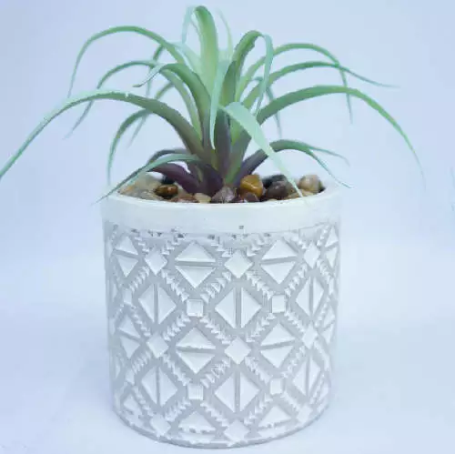 Tabletop Agave Succulent Plant