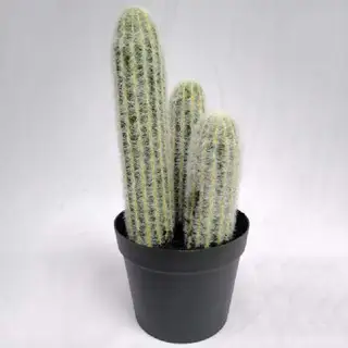 Faux Tabletop Succulents