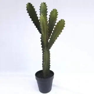 Artificial Tabletop Desert Succulent