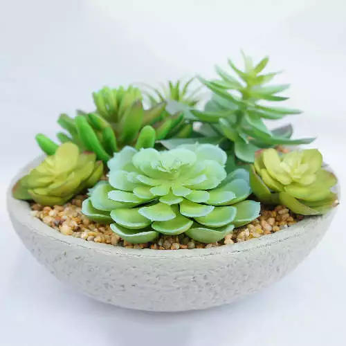 Mini Artificial Succulent Plants with Pots