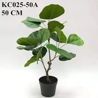 Artificial Polyscias Balfouriana Bailey, 30 CM, 40 CM, 50 CM