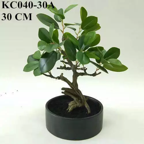 Artificial Ficus Microcarpa Bonsai, 30 CM, 50 CM, 66 CM
