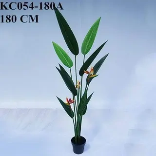Artificial Strelitzia Bonsai With Sharp Leaves, 120 CM - 240 CM