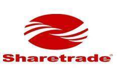 Sharetrade Instock Artificial Fern Plants