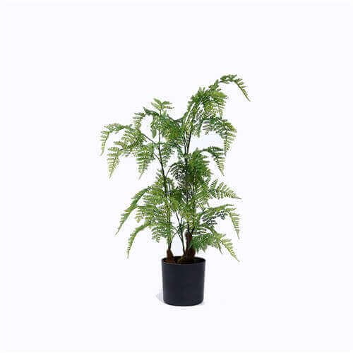 Simulated Tropical Fern Tree Bonsai, Plastic Base, 60CM