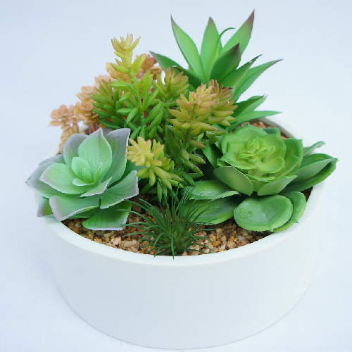 Artificial Succulent Plants with Pot Faux Succulent Plants Realistic Succulent Plant