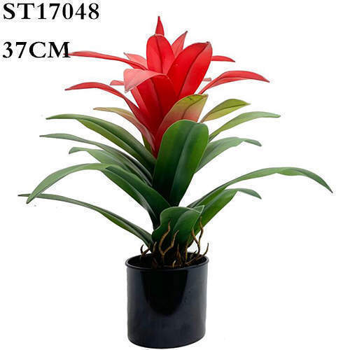 Artificial Guzmania Calypso Plant, 37CM