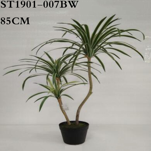 Artificial Sago Palm, White Border, 65CM, 85CM, 120CM