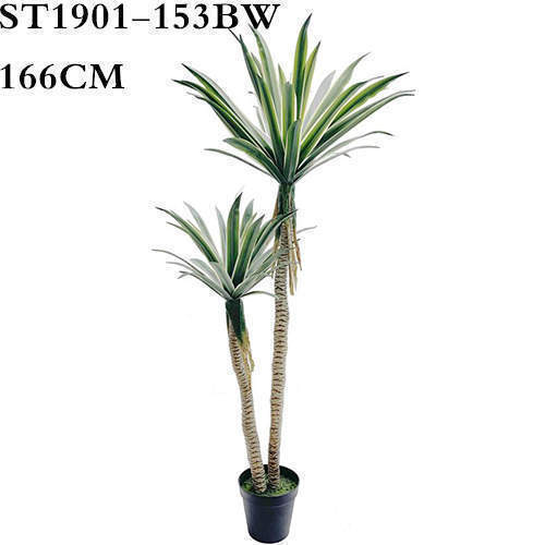 Artificial Century Plant, White Border, 166CM