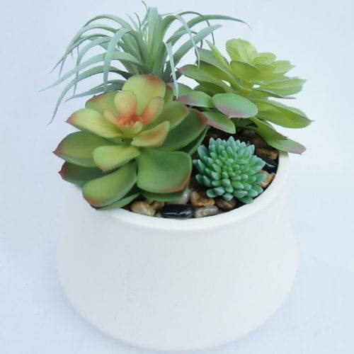 Succulent Garden Artificial Plant