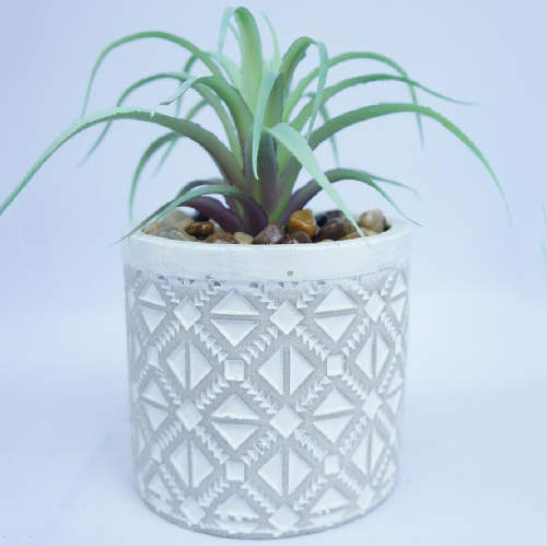 Tabletop Agave Succulent Plant