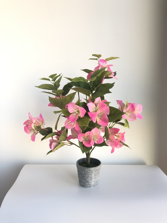 To make all your faux plant dreams come true!