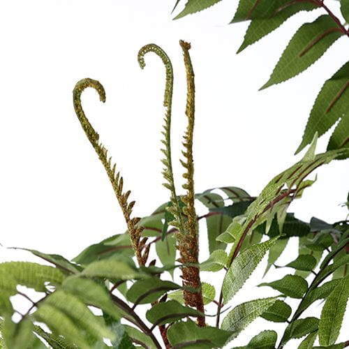 Artificial Toona sinensis, Five Trunks, 210CM Artificial Toona sinensis, Five Trunks, 210CM