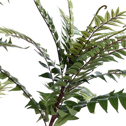 Artificial Toona sinensis, Five Trunks, 210CM