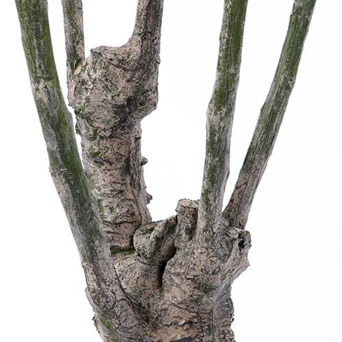 Artificial Toona sinensis, Five Trunks, 210CM