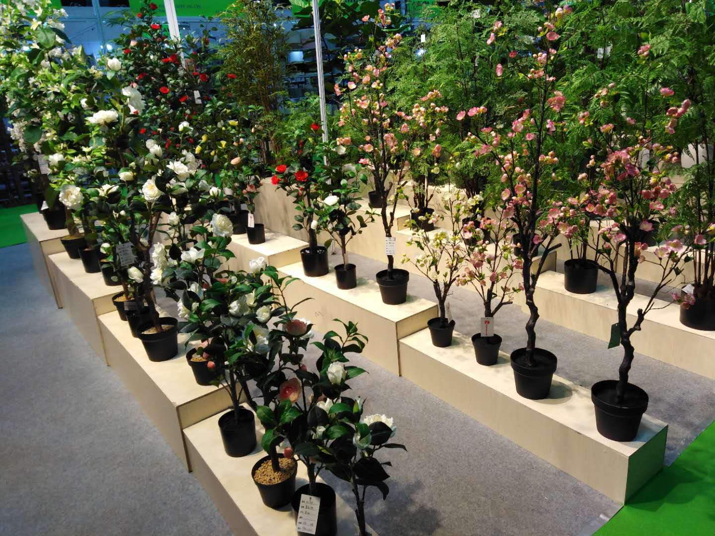 Do you forget to water your plants, after some time turn into dry? Do you forget to water your plants, after some time turn into dry?