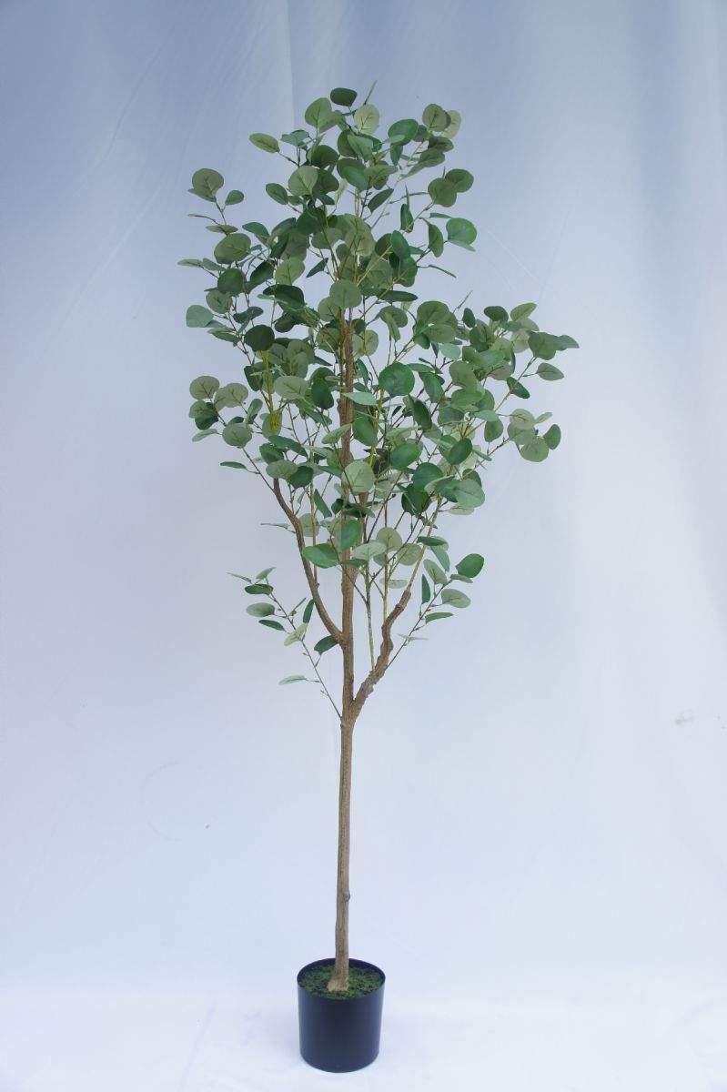 Faux Genus Eucalyptus, 180 CM Faux Genus Eucalyptus, 180 CM