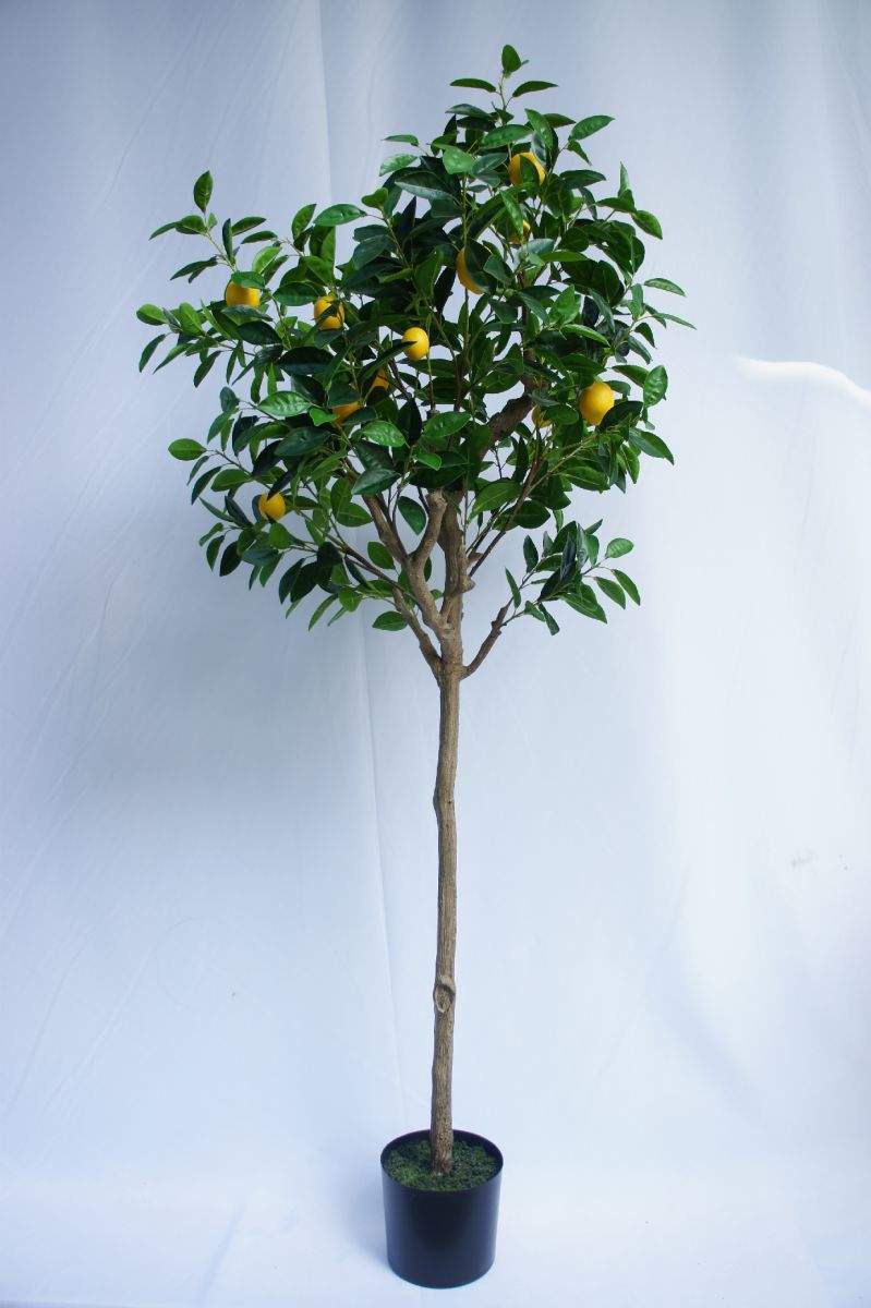 Artificial Lemon Tree, 180 CM Artificial Lemon Tree, 180 CM