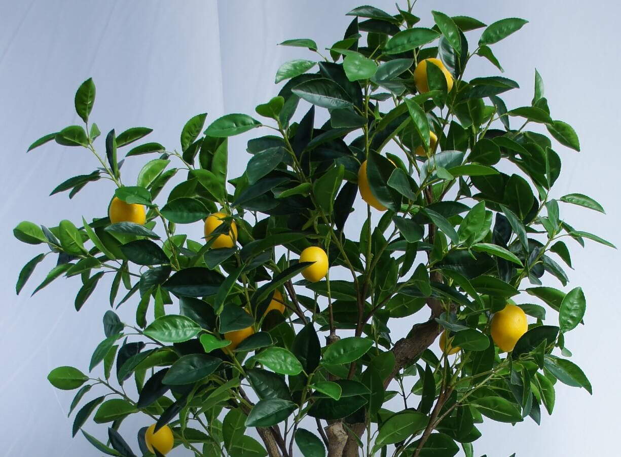 Artificial Lemon Tree, 180 CM Artificial Lemon Tree, 180 CM