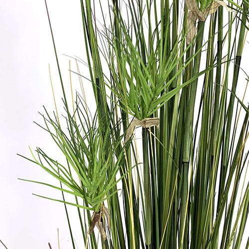 Artificial Amorseco, Lesser Spear Grass, Mackie's Pest