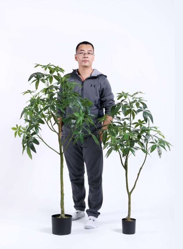 2020 Artificial Plants from Sharetrade 2020 Artificial Plants from Sharetrade