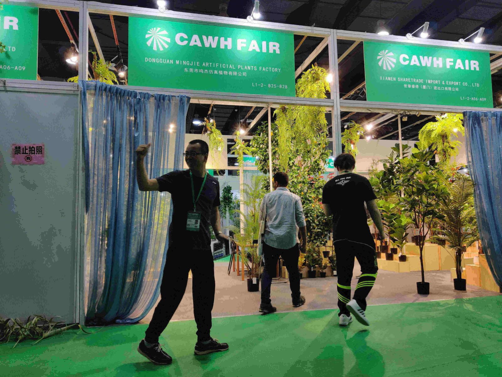 2020 Artificial Plants from Sharetrade