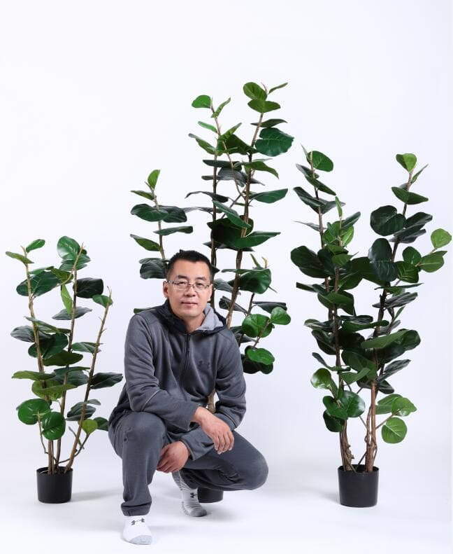 2020 Artificial Plants from Sharetrade 2020 Artificial Plants from Sharetrade