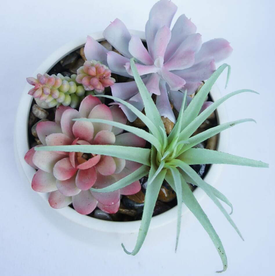 Mixed Succulent Faux Plant with Decorative Planter Mixed Succulent Faux Plant with Decorative Planter
