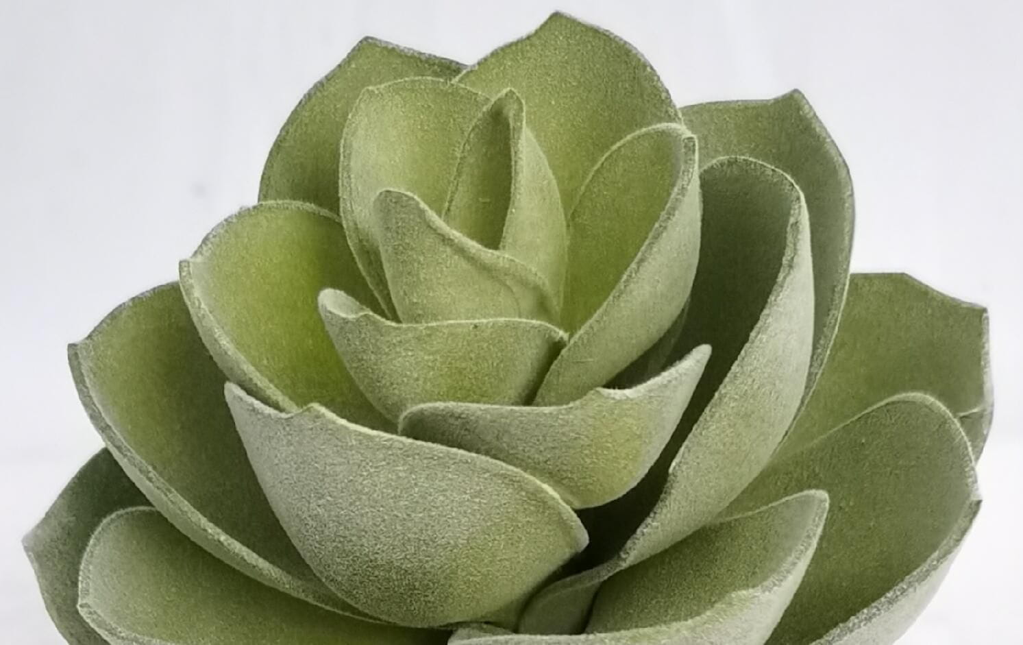 Realistic Succulents Realistic Succulents