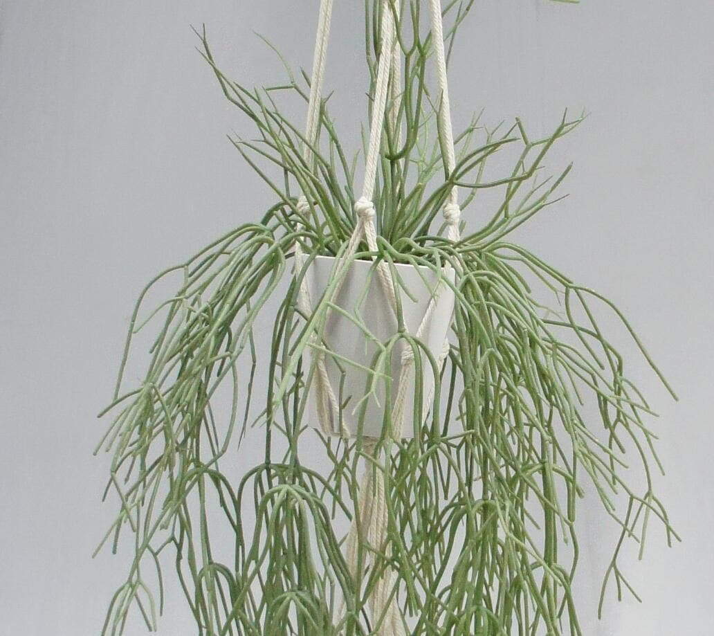 Artificial Hanging Decor 2021 New Plant, 120 CM Artificial Hanging Decor 2021 New Plant, 120 CM