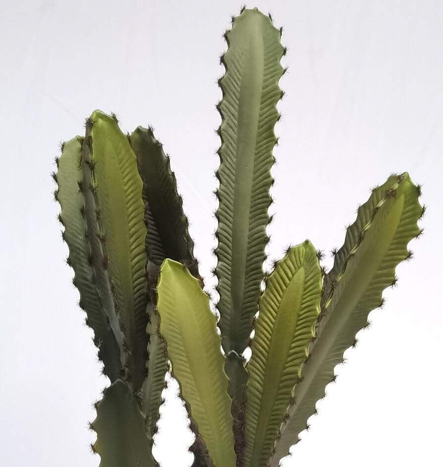 Faux Tabletop Desert Succulent Plants Faux Tabletop Desert Succulent Plants