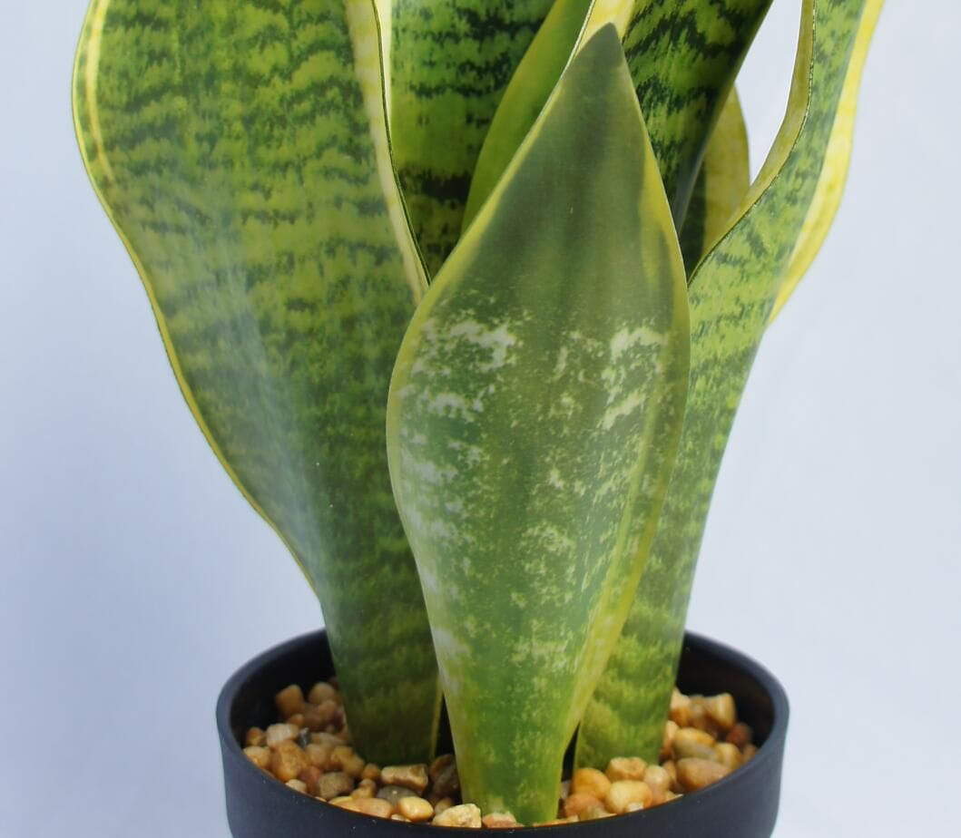 Artificial Snake Plant, 45 CM Artificial Snake Plant, 45 CM