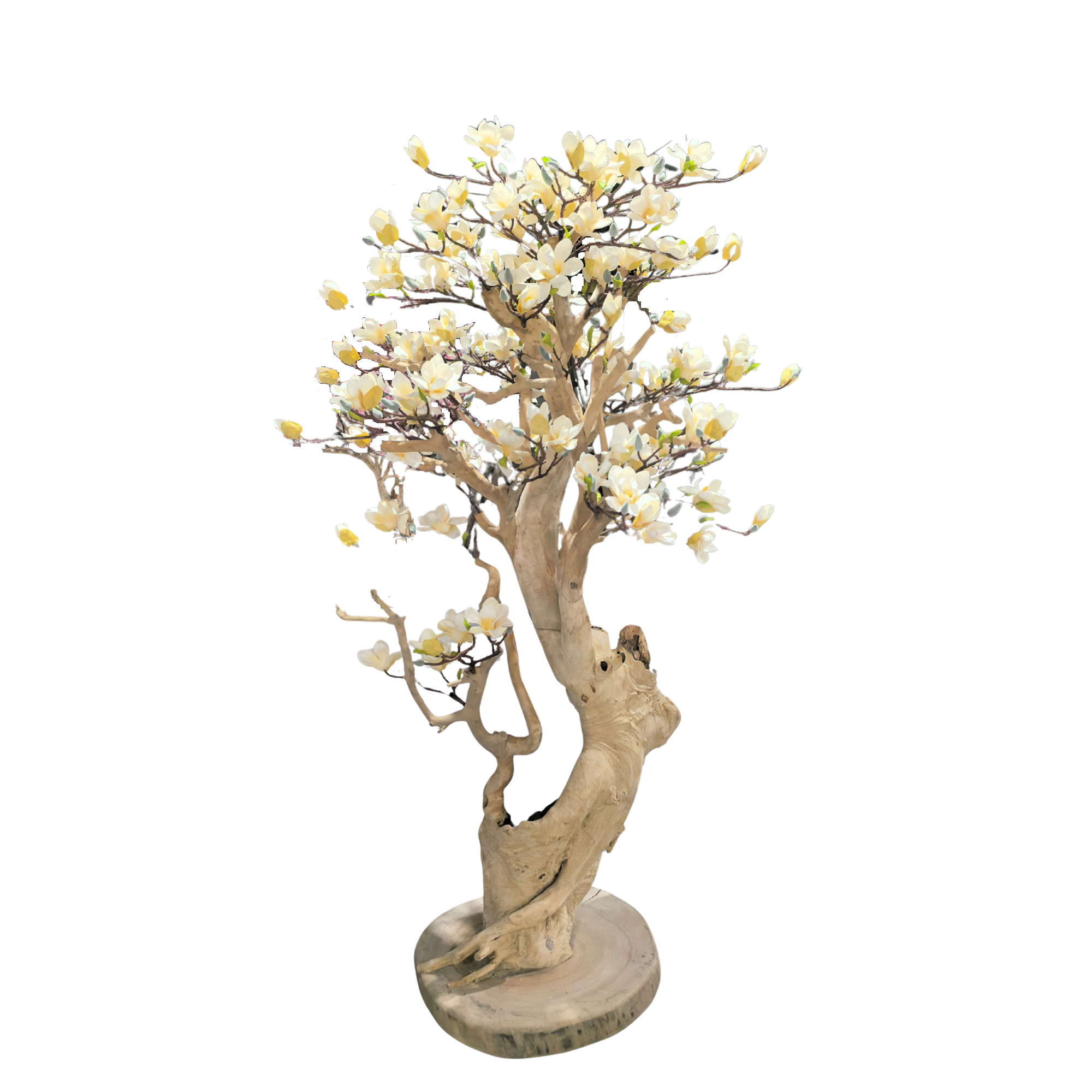 Faux Wood Magnolia Tree, 180cm – Elegant Faux Tree for Wholesale Decor Projects Faux Wood Magnolia Tree, 180cm – Elegant Faux Tree for Wholesale Decor Projects