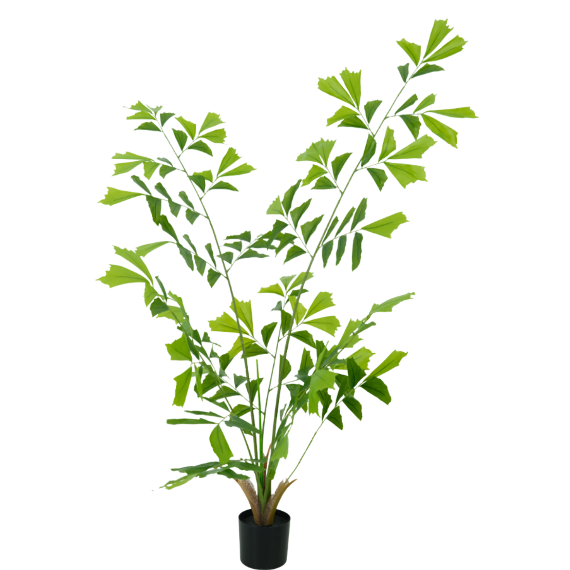 Artificial Fishtail Palm Tree, 150cm – Artificial Tree Wholesale for Commercial Interiors Artificial Fishtail Palm Tree, 150cm – Artificial Tree Wholesale for Commercial Interiors