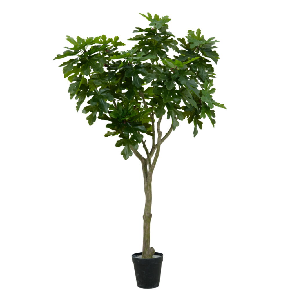 Artificial Fig Tree (KD) – 240cm & 270cm Faux Indoor Tree for Commercial & Home Decor Artificial Fig Tree (KD) – 240cm & 270cm Faux Indoor Tree for Commercial & Home Decor