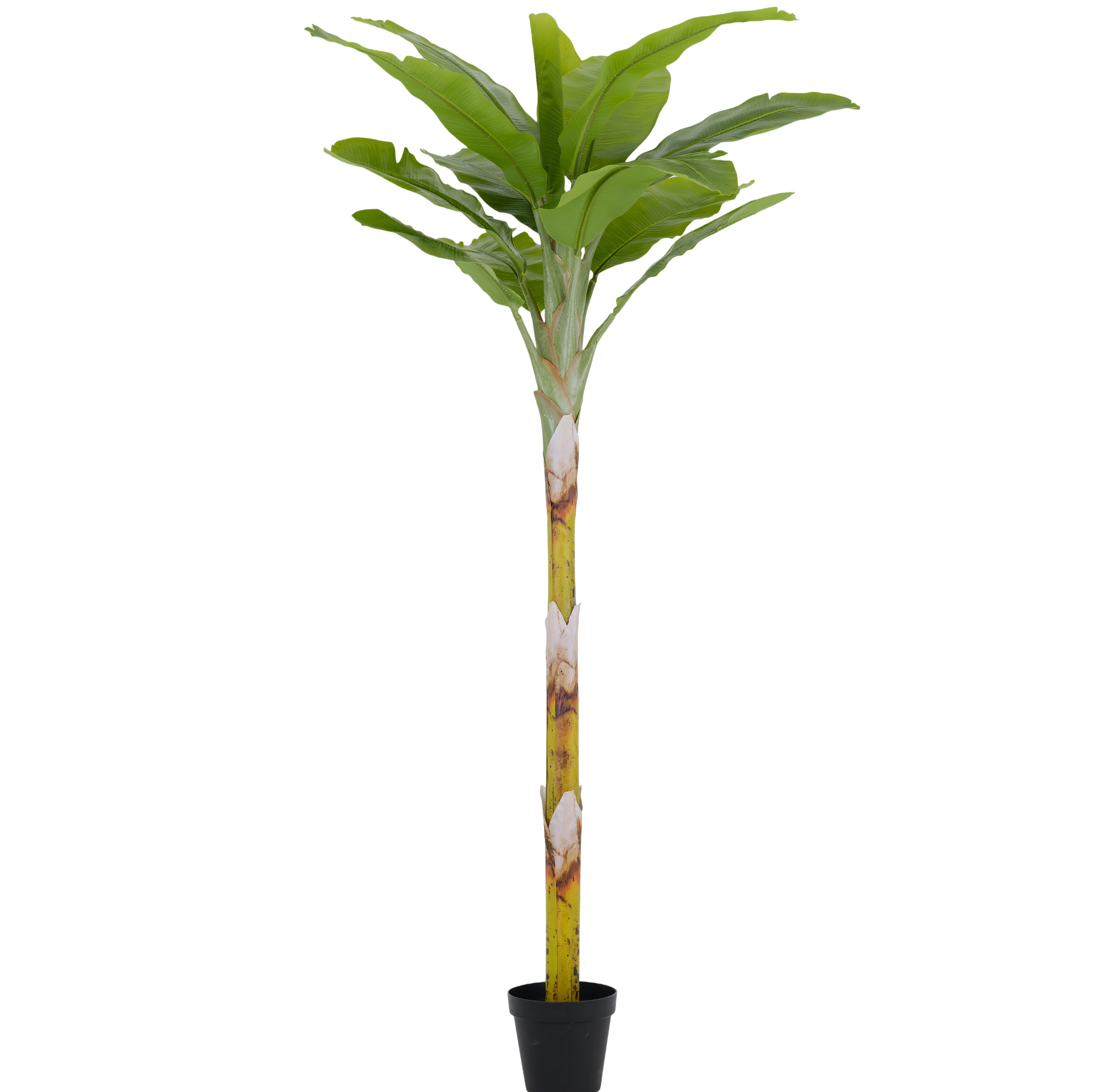 Artificial Banana Tree(KD), 250cm  &ndash; Wholesale Faux Banana Plant for Commercial D&eacute;cor Projects