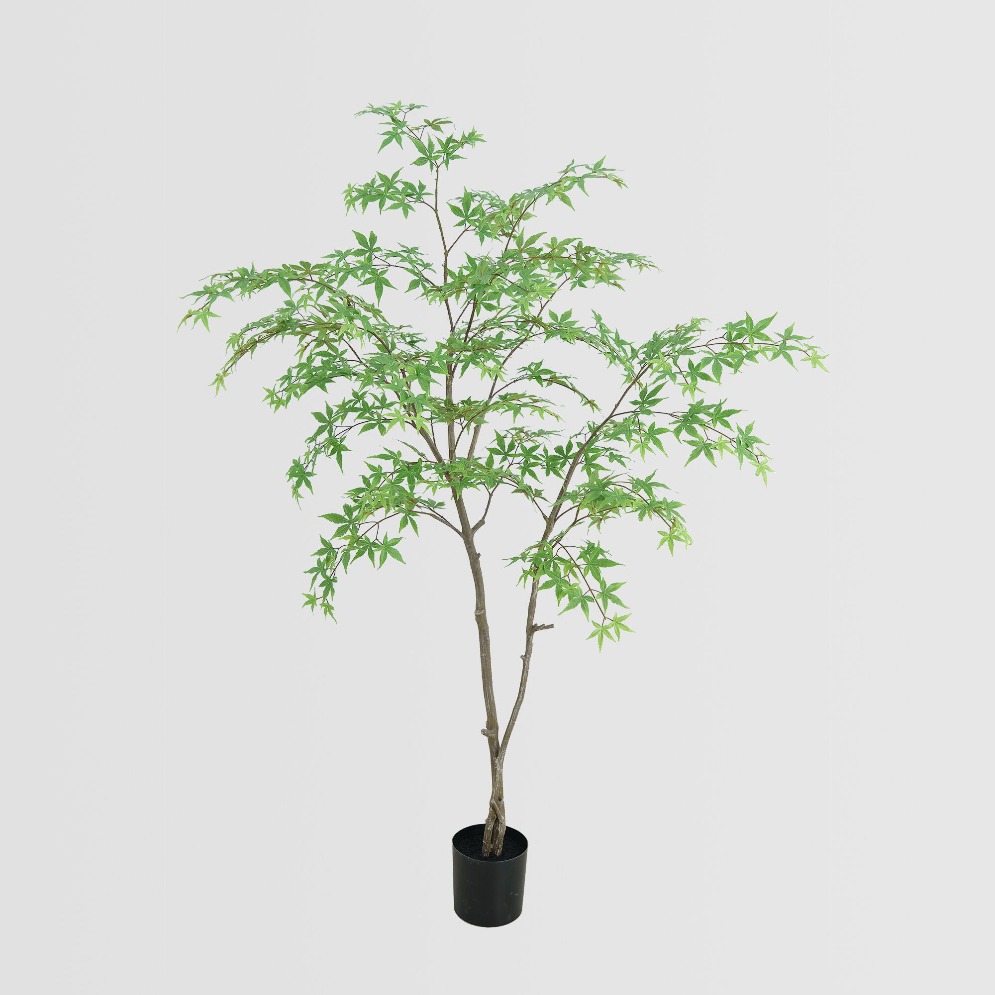 Artificial Maple Tree (KD), 210cm – Faux Plants Wholesale for Commercial & Event Décor Artificial Maple Tree (KD), 210cm – Faux Plants Wholesale for Commercial & Event Décor