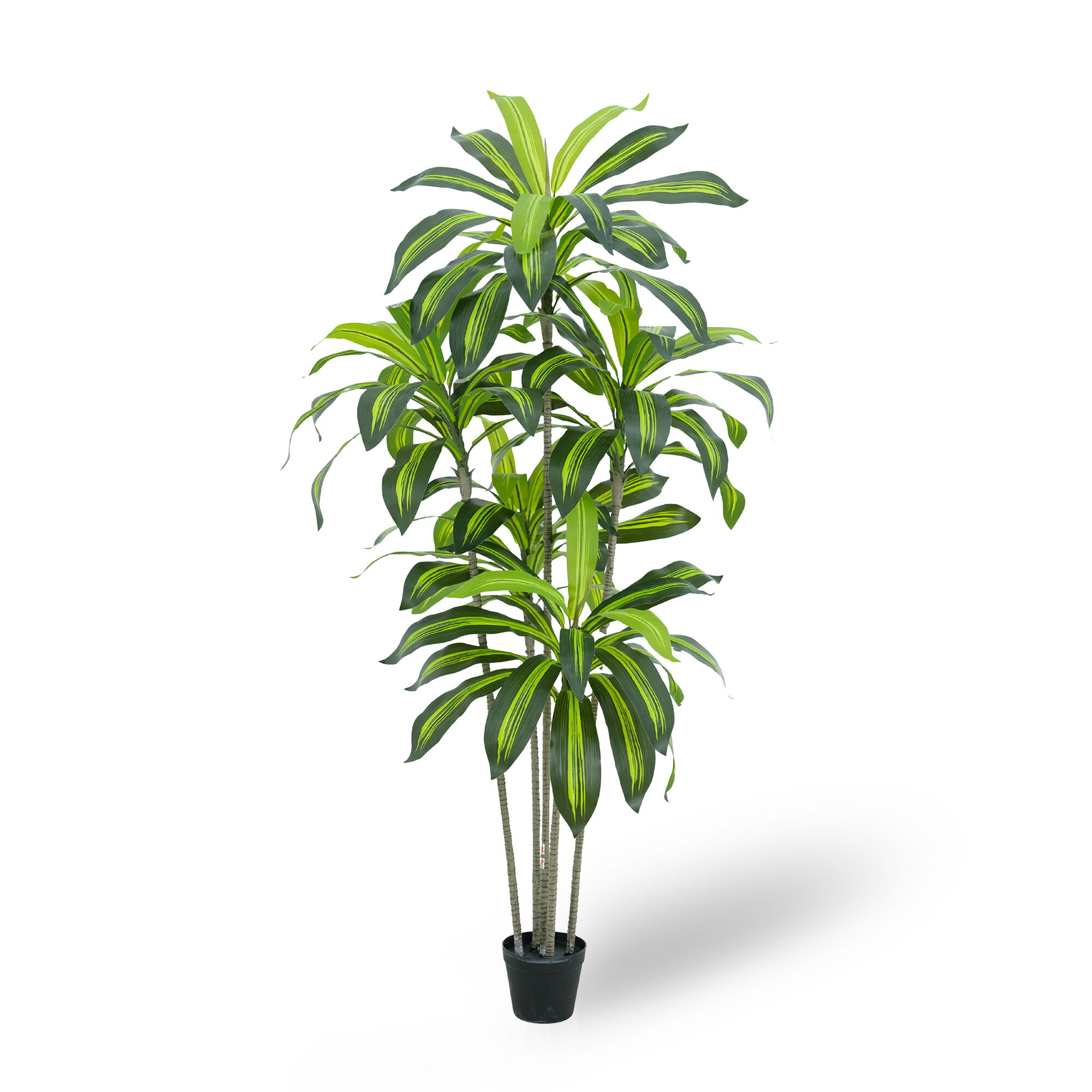 Artificial Dracaena Fragrans Tree(KD) – 160cm Faux Trees Wholesale for Commercial Projects Artificial Dracaena Fragrans Tree(KD) – 160cm Faux Trees Wholesale for Commercial Projects