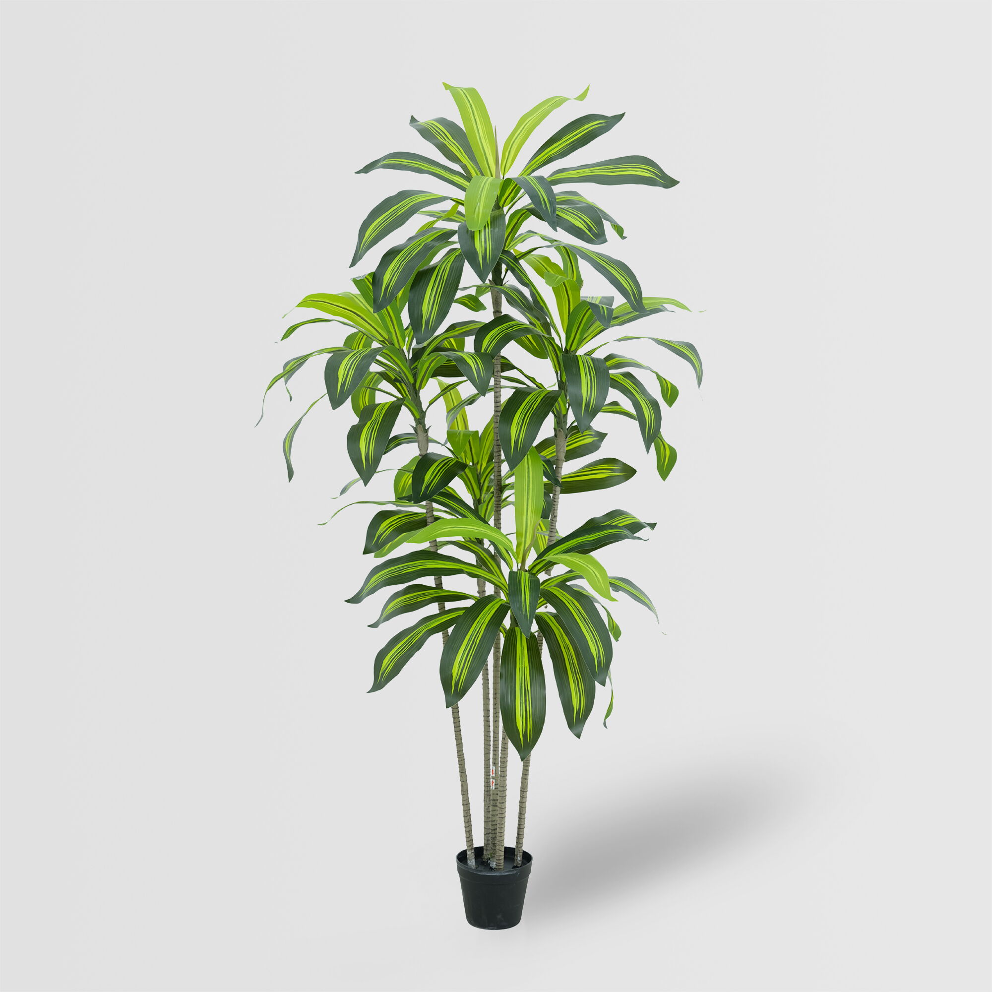 Artificial Dracaena Fragrans Tree(KD) – 160cm Faux Trees Wholesale for Commercial Projects Artificial Dracaena Fragrans Tree(KD) – 160cm Faux Trees Wholesale for Commercial Projects