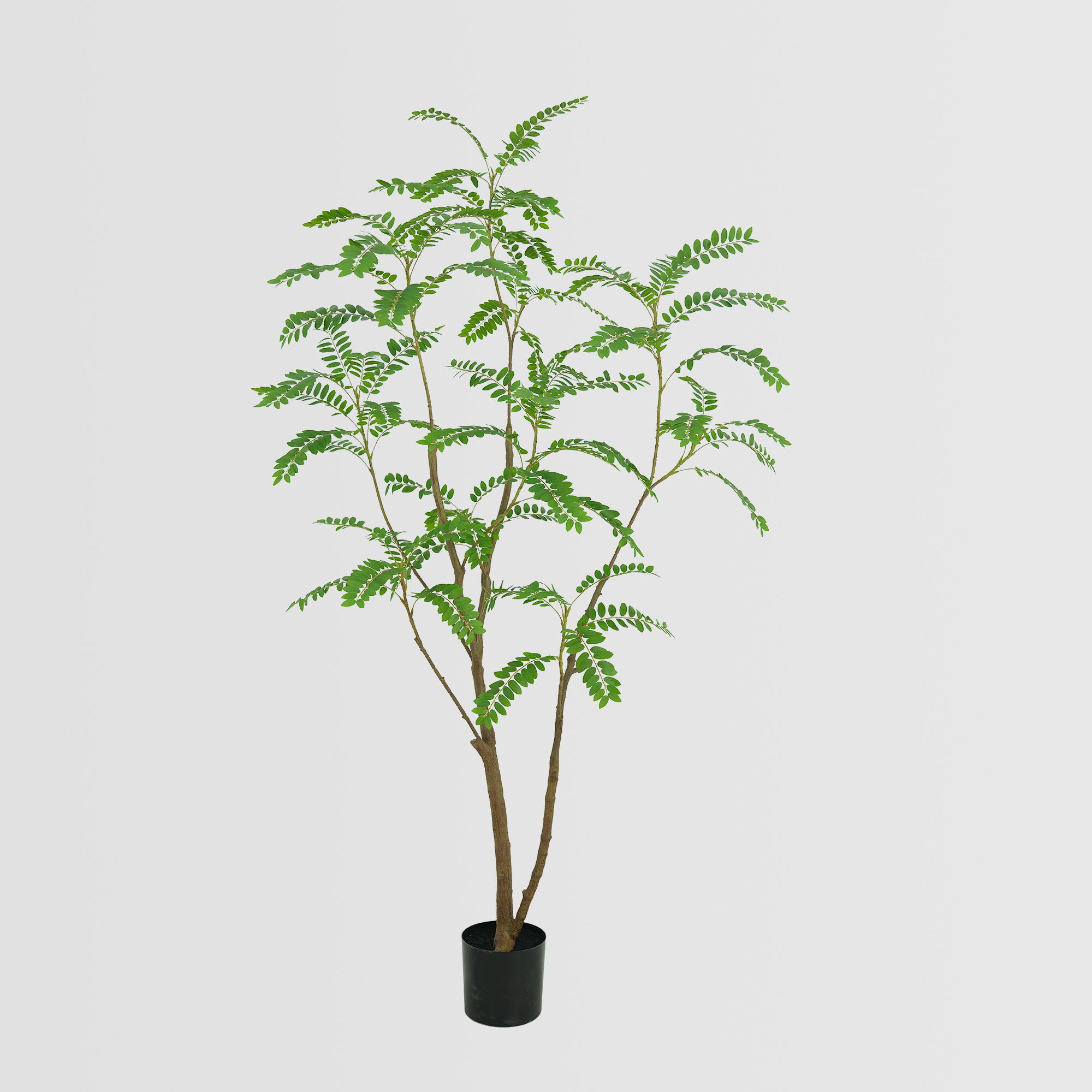 Artificial Mimosa Tree(KD) – 210cm Faux Trees Wholesale for Commercial Projects Artificial Mimosa Tree(KD) – 210cm Faux Trees Wholesale for Commercial Projects