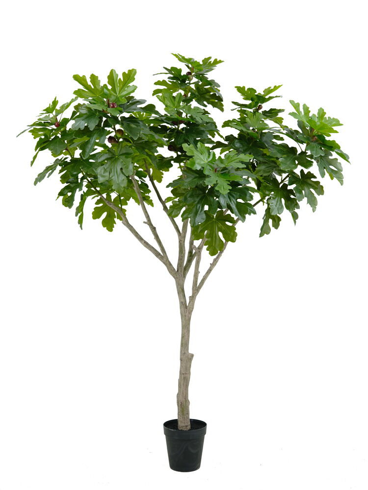 Artificial Fig Tree (KD) – 240cm & 270cm Faux Indoor Tree for Commercial & Home Decor Artificial Fig Tree (KD) – 240cm & 270cm Faux Indoor Tree for Commercial & Home Decor