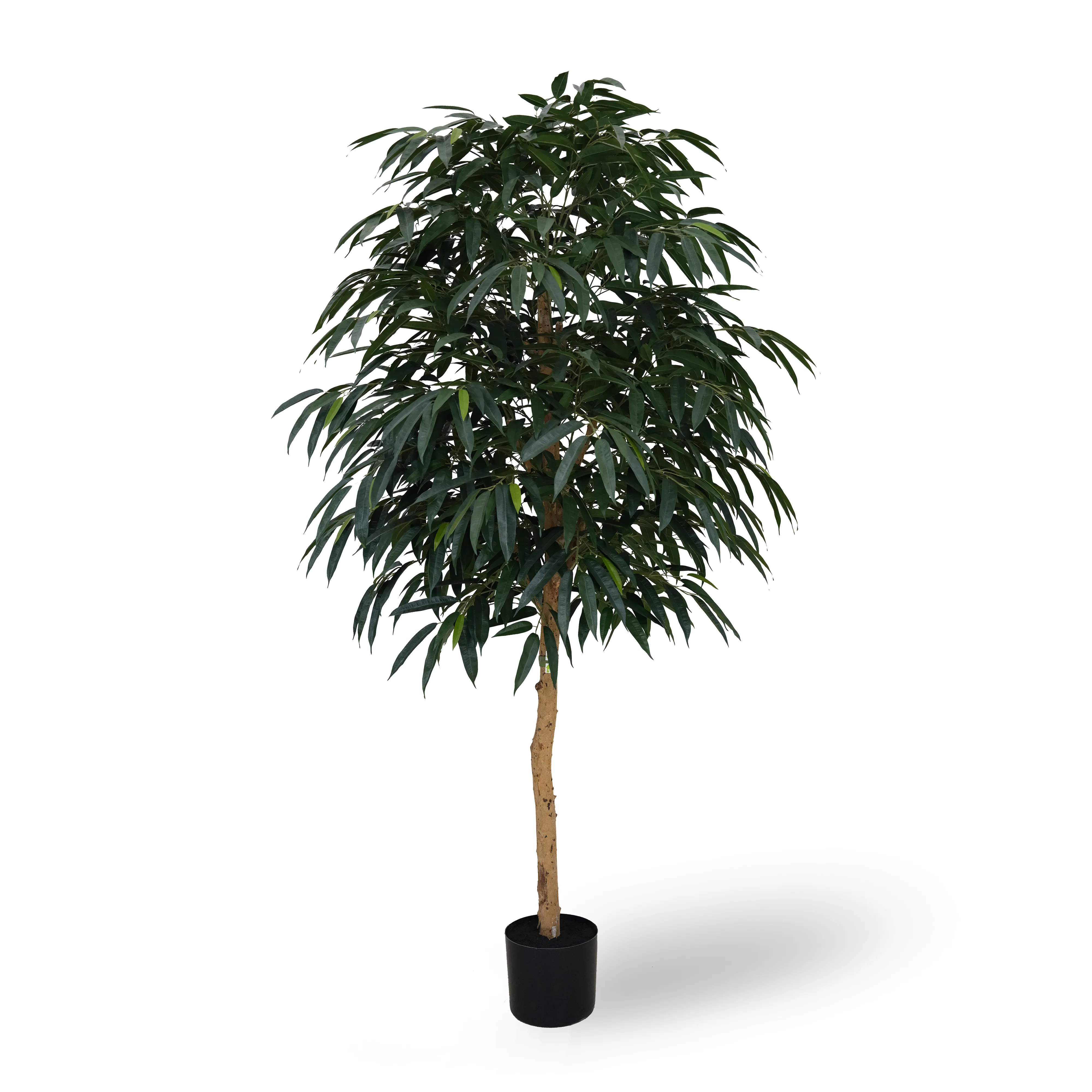 Artificial Real Wood Mango Tree (KD) – 240cm Faux Trees Wholesale for Commercial Projects Artificial Real Wood Mango Tree (KD) – 240cm Faux Trees Wholesale for Commercial Projects