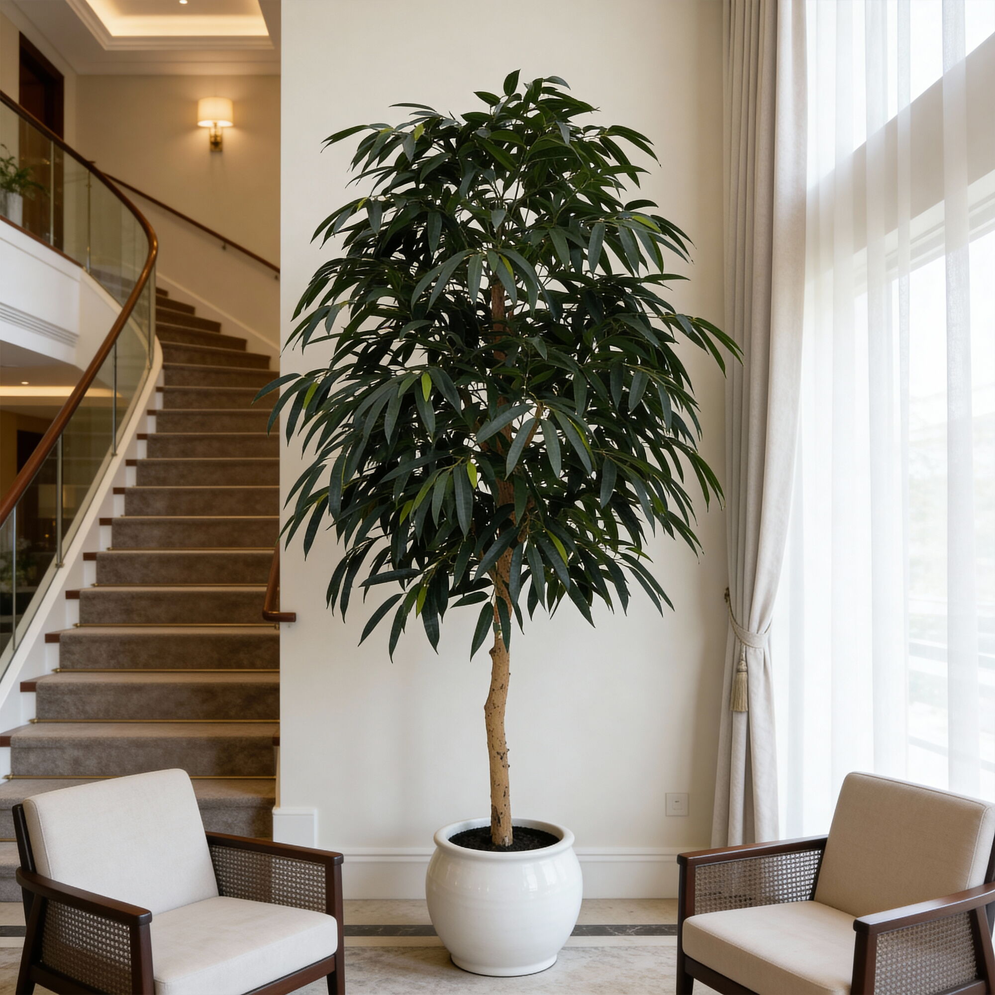 Artificial Real Wood Mango Tree (KD) – 240cm Faux Trees Wholesale for Commercial Projects Artificial Real Wood Mango Tree (KD) – 240cm Faux Trees Wholesale for Commercial Projects