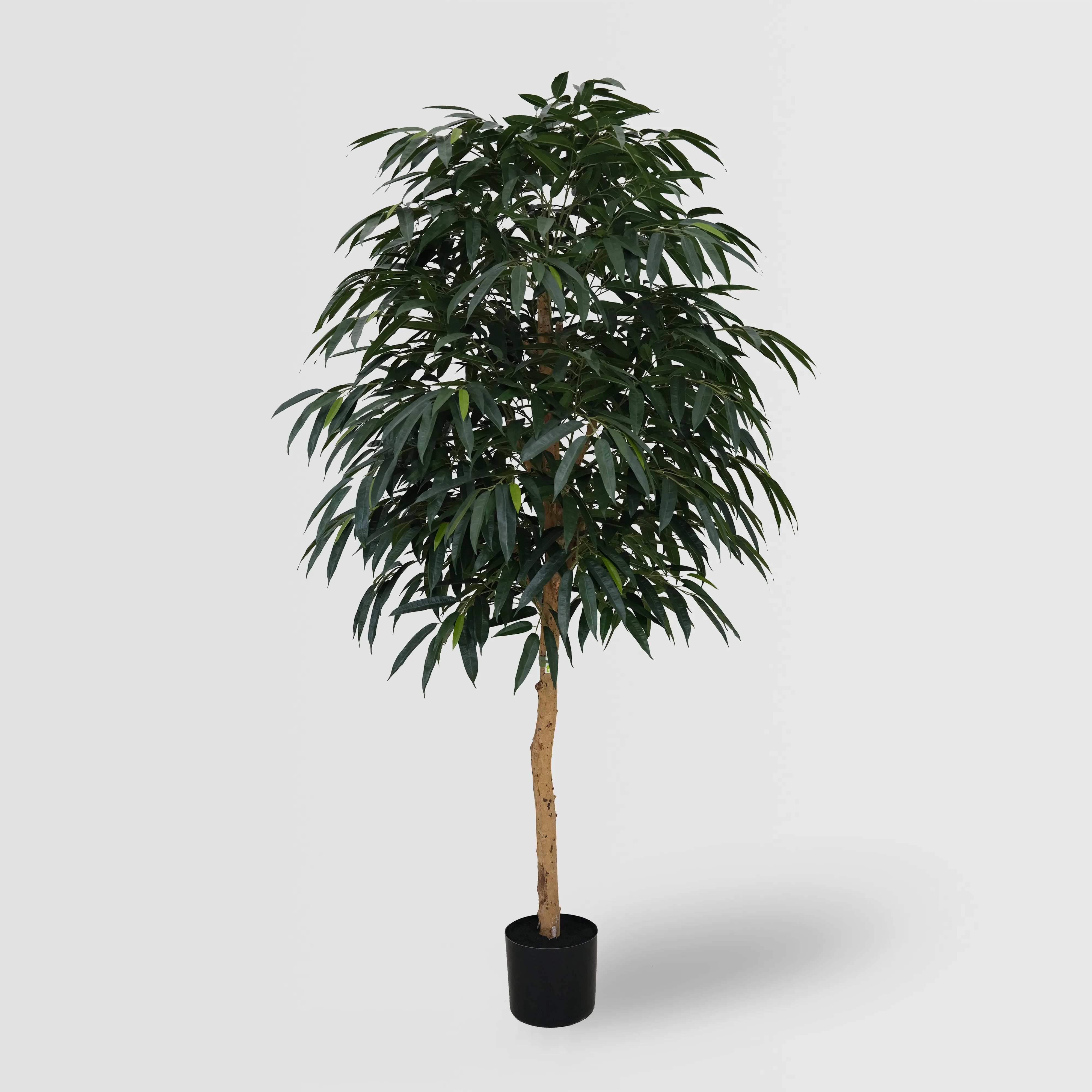 Artificial Real Wood Mango Tree (KD) – 240cm Faux Trees Wholesale for Commercial Projects Artificial Real Wood Mango Tree (KD) – 240cm Faux Trees Wholesale for Commercial Projects