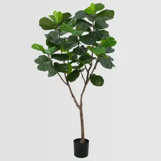 Artificial Fiddle Leaf Fig Tree (KD) – 180cm Faux Trees Wholesale for Commercial Projects