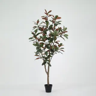 Artificial Magnolia Leaf Tree (KD) – 250cm Large Faux Trees Wholesale for Commercial Projects