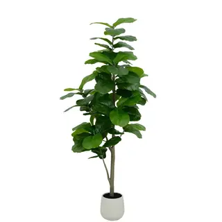 Artificial Fiddle Leaf Fig Tree (KD) – 120cm & 150cm Faux Indoor Tree for Commercial & Home Decor