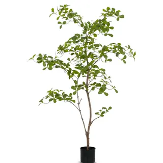 Artificial Tropical Almond Tree (KD), 150cm – Realistic Faux Tropical Green Tree for Interior & Commercial Decor