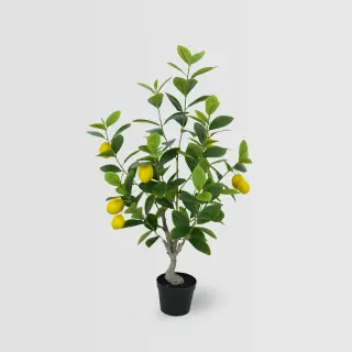 Artificial Lemon Tree, 75cm & 90cm– Lifelike Faux Tree for Commercial Interiors
